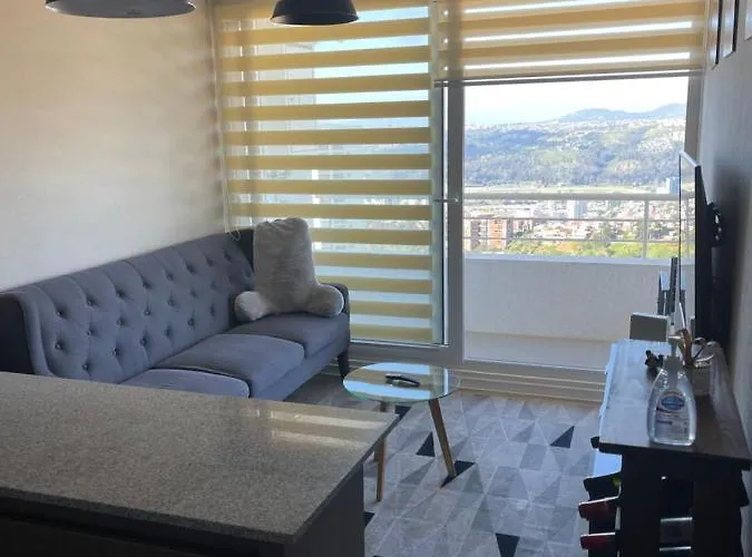 Departamento Vina Del Mar Gm